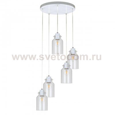 Подвесная люстра Spot Light Alessandro 1760502