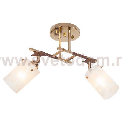 Потолочный светильник Экономсвет 1764YX/2FGD WT