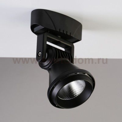 Потолочный светильник Favourite 1766-1U Projector