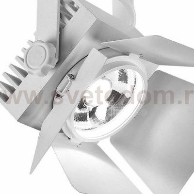 Потолочный светильник Favourite 1771-1U Projector