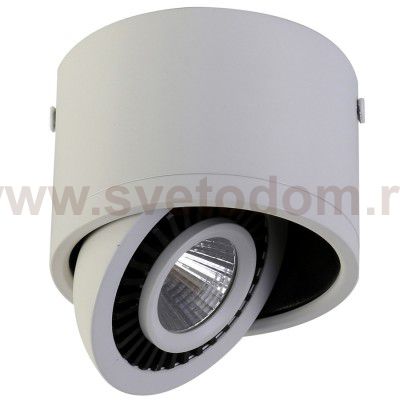 Потолочный светильник Favourite 1774-1C Reflector