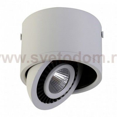 Потолочный светильник Favourite 1775-1C Reflector