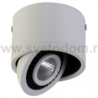 Потолочный светильник Favourite 1776-1C Reflector