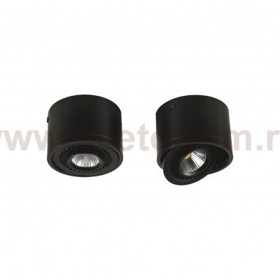 Потолочный светильник Favourite 1779-1C Reflector