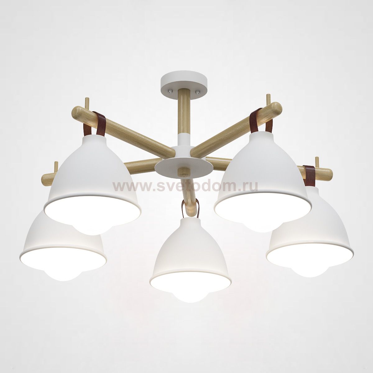 Потолочная люстра FLAN 5 ImperiumLoft 178009-26