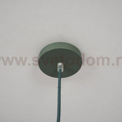 Подвесной светильник DEER ONE Зеленый ImperiumLoft 178111-26
