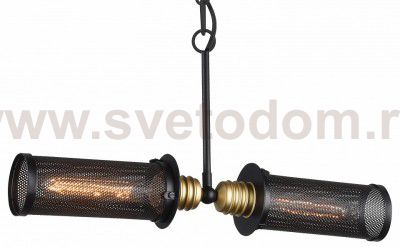 Люстра Favourite 1788-2P Strainer