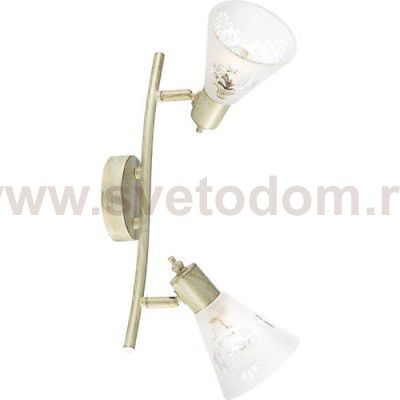 Потолочный светильник Favourite 1794-2U Gumbata