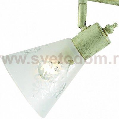 Потолочный светильник Favourite 1794-4U Gumbata