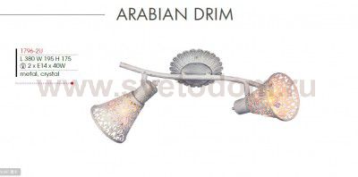 Потолочный светильник Favourite 1796-2U Arabian Drim