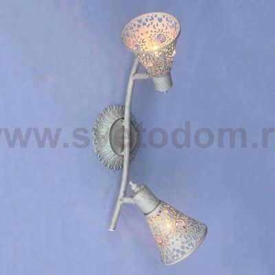 Потолочный светильник Favourite 1796-2U Arabian Drim