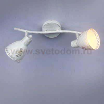 Потолочный светильник Favourite 1798-2U Martos