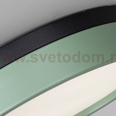 Потолочный светильник KIER D40 Green ImperiumLoft 181022-26