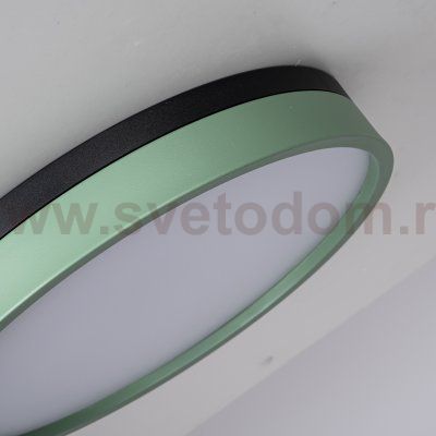 Потолочный светильник KIER D40 Green ImperiumLoft 181022-26