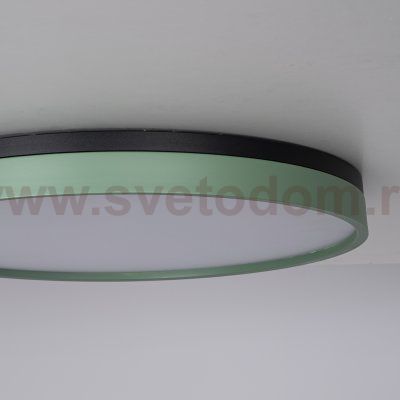 Потолочный светильник KIER D60 Green ImperiumLoft 181024-26