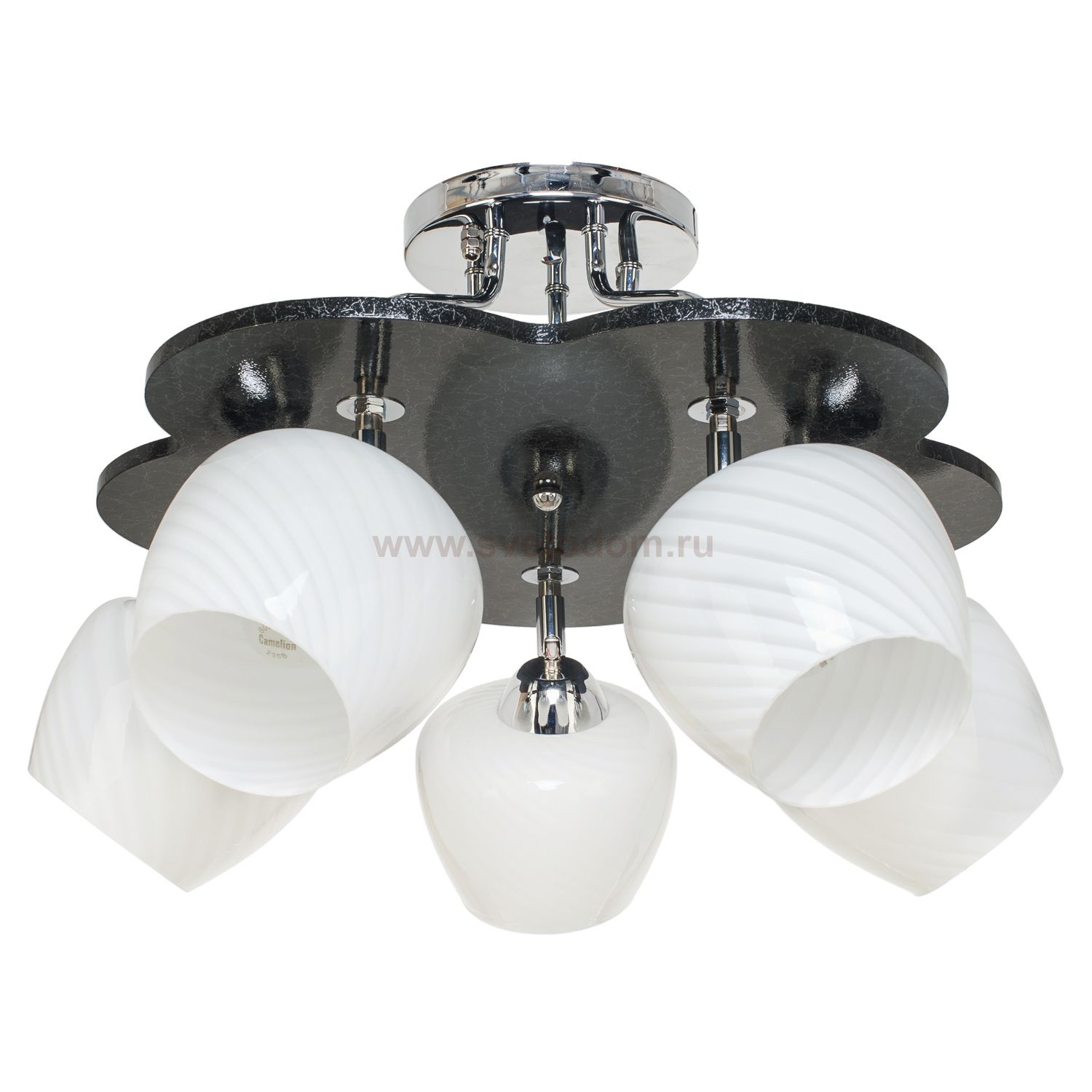 Люстра эконом Экономсвет 1829LM/5BK WT