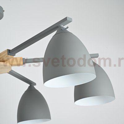 Потолочная люстра NOA 6 Gray by ImperiumLoft ImperiumLoft 183460-26
