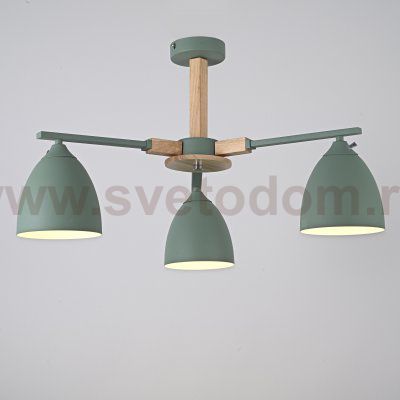 Потолочная люстра NOA 3 Mint by ImperiumLoft ImperiumLoft 183466-26