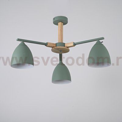 Потолочная люстра NOA 3 Mint by ImperiumLoft ImperiumLoft 183466-26