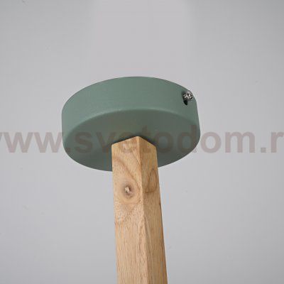 Потолочная люстра NOA 6 Mint by ImperiumLoft ImperiumLoft 183467-26