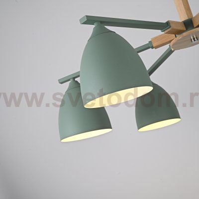 Потолочная люстра NOA 6 Mint by ImperiumLoft ImperiumLoft 183467-26