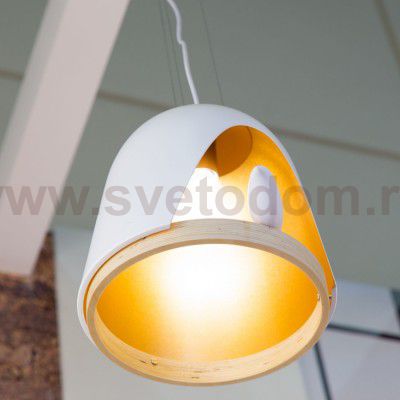 Подвесная люстра Favourite 1878-1P Volatore