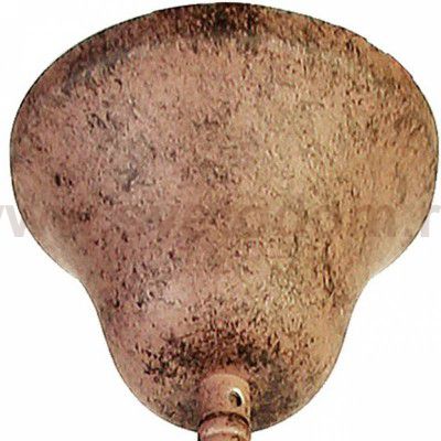 Люстра Favourite 1884-6P Burg