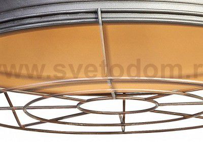 Подвесной светильник Favourite 1895-1P Lichtwerfer