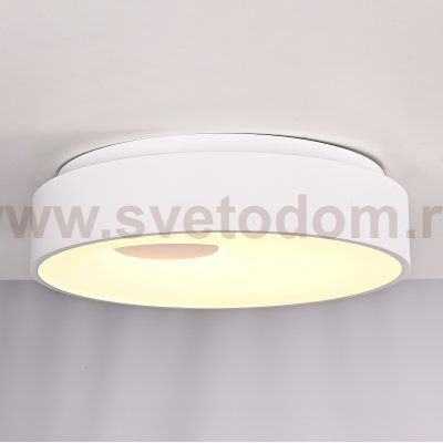 Потолочный светильник ECLA D45 ImperiumLoft 189550-26