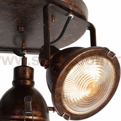 Люстра Favourite 1898-3C Industria