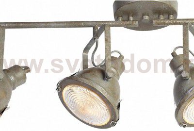 Люстра Favourite 1899-4C Industria