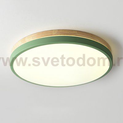 Потолочный светильник DISC DH D63 Green ImperiumLoft 189908-26