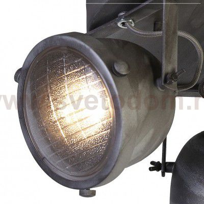 Люстра Favourite 1900-3C Emitter