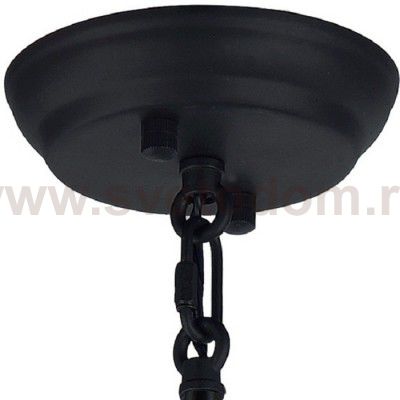 Люстра Favourite 1910-1P Triply