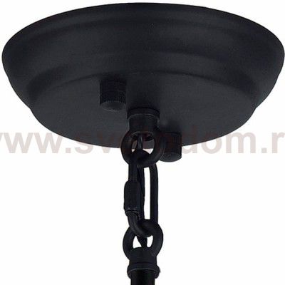 Люстра Favourite 1911-1P Triply