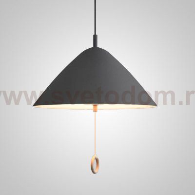 Подвесной светильник HUG D40 black ImperiumLoft 191719-23