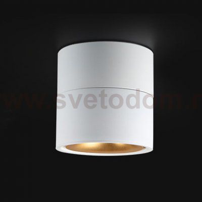 Потолочный светильник AGENDA White+Gold 10W ImperiumLoft 191836-26