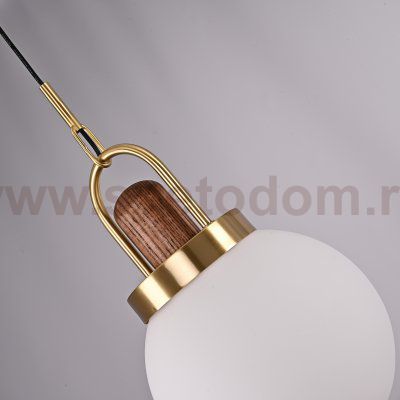 Подвесной светильник Arc Globe Шар D20 ImperiumLoft 191841-26