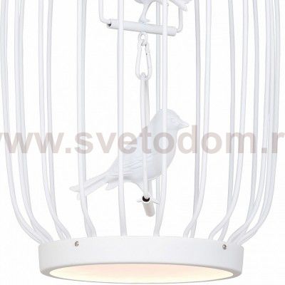 Подвесная люстра Favourite 1929-2P Chick