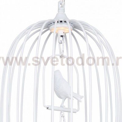 Подвесная люстра Favourite 1929-2P Chick