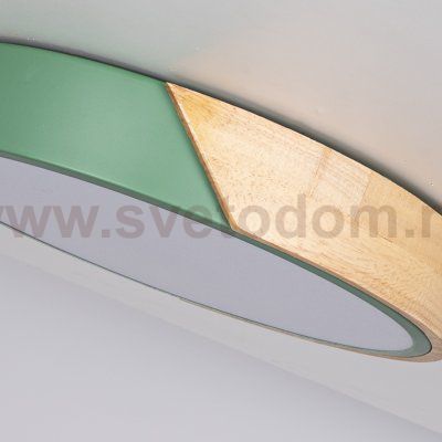 Потолочный светильник CLIP Green D40 ImperiumLoft 193047-26