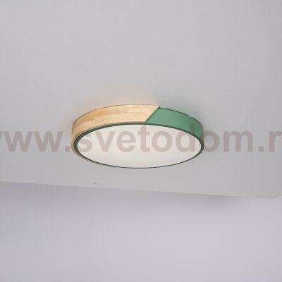 Потолочный светильник CLIP Green D40 ImperiumLoft 193047-26