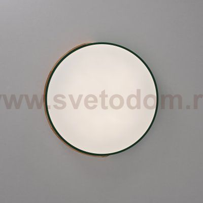 Потолочный светильник CLIP Green D50 ImperiumLoft 193050-26