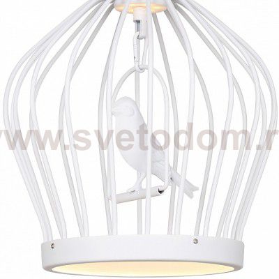 Подвесная люстра Favourite 1931-2P Chick