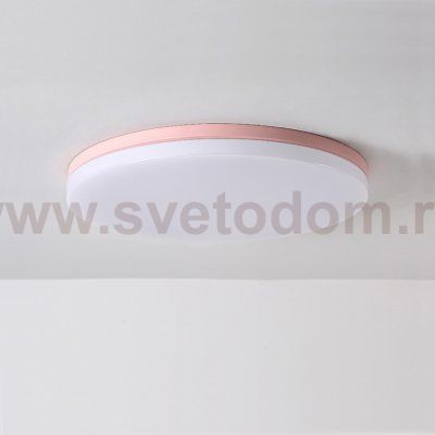 Потолочный светильник DISC HALF D38 Pink ImperiumLoft 193126-26