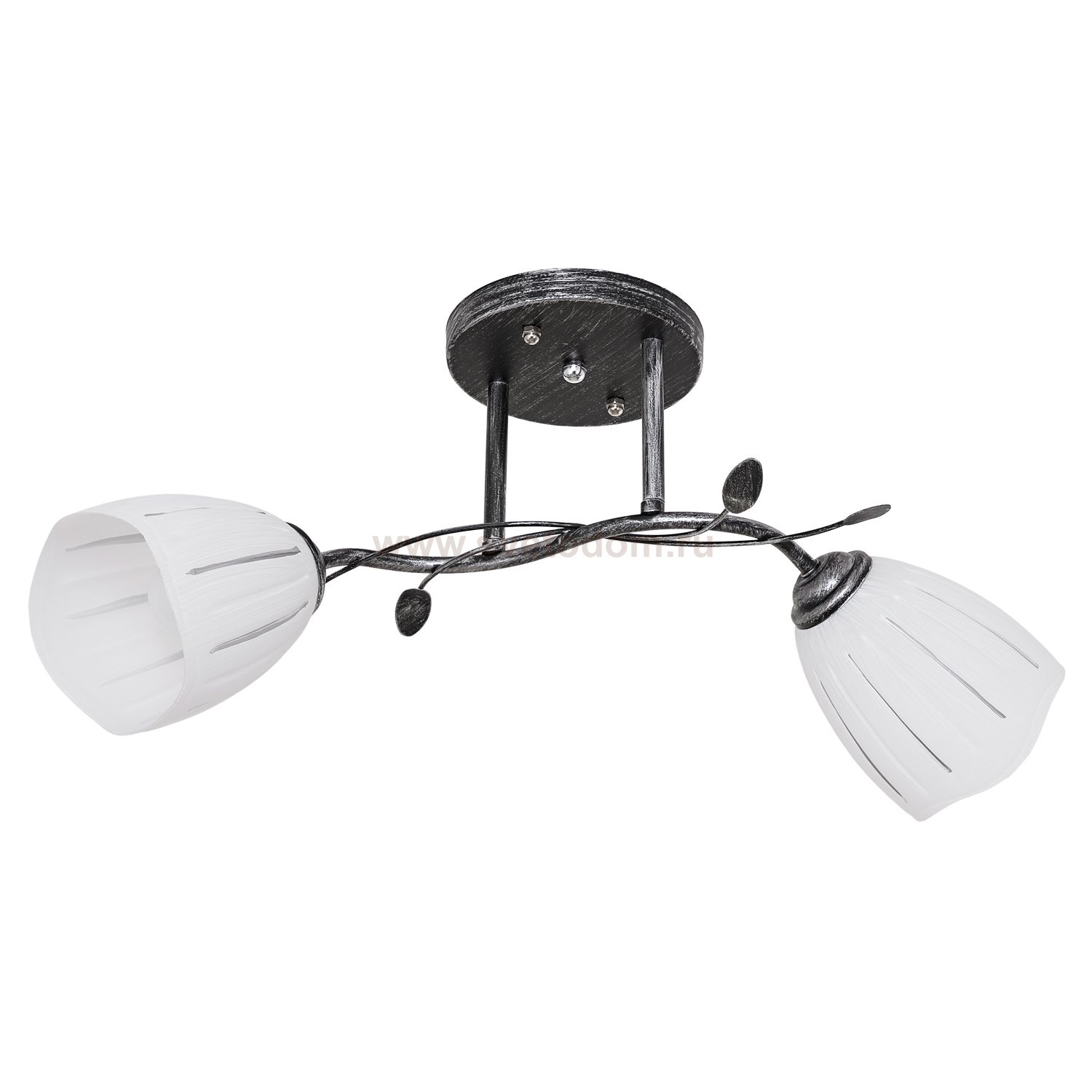 Потолочный светильник Экономсвет 1936YX/2BK+SV WT