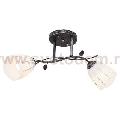 Потолочный светильник Экономсвет 1936YX/2BK+SV WT