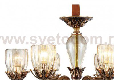 Люстра Favourite 1941-6P Campanula