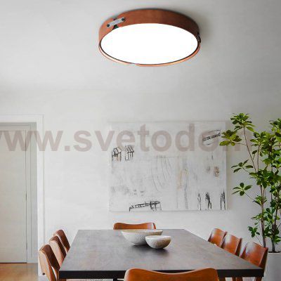 Потолочный светильник RANGE 3 D72  Light wood ImperiumLoft 195543-26