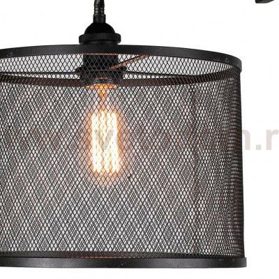 Настенно-потолочный светильник Favourite 1967-1W Reticulum